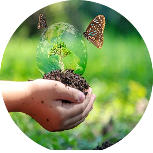 Biodiversity
