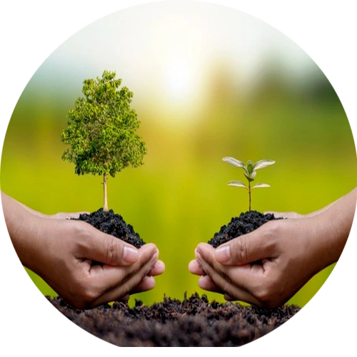 Social Impact