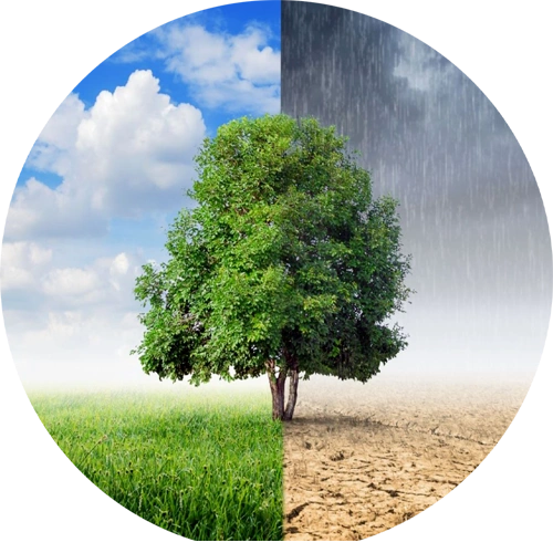 Climate